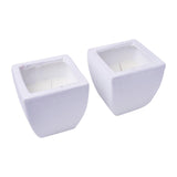 WaxWorks Citronella Candles - Tuscan Pots - White Candles